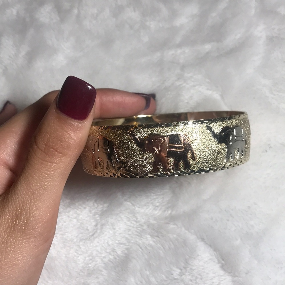 Jewelry (bracelet)